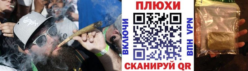 ГАШ Premium Кадников
