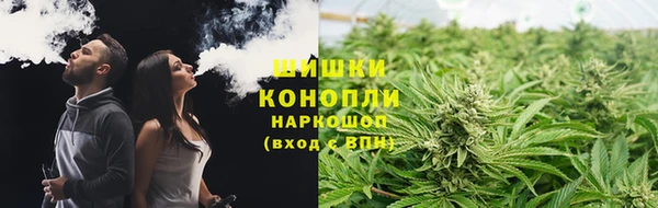 индика Осташков