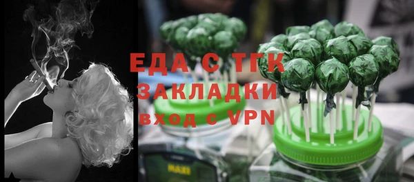 индика Осташков