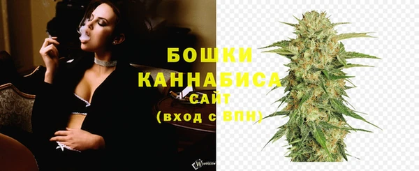 индика Осташков
