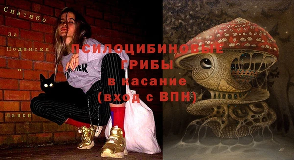 индика Осташков