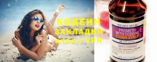 индика Осташков