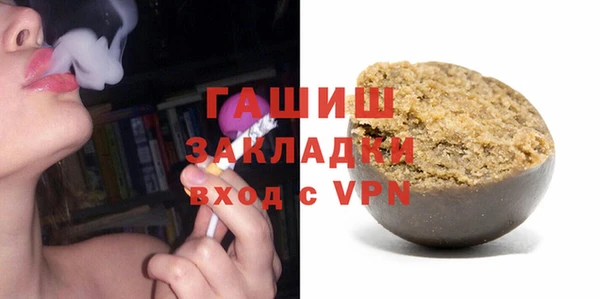 индика Осташков