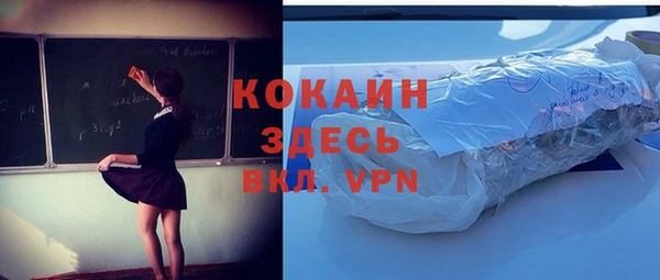 индика Осташков