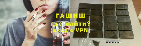 индика Осташков
