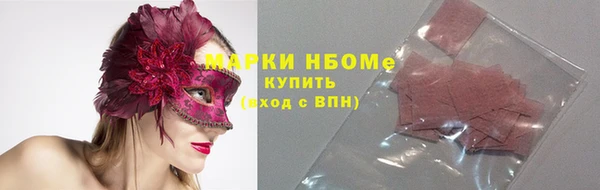 индика Осташков