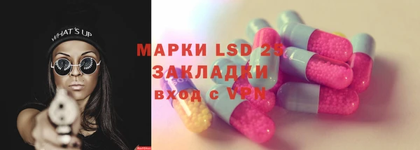 индика Осташков