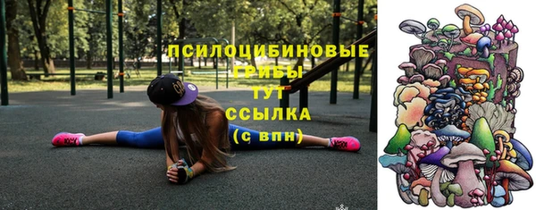 индика Осташков