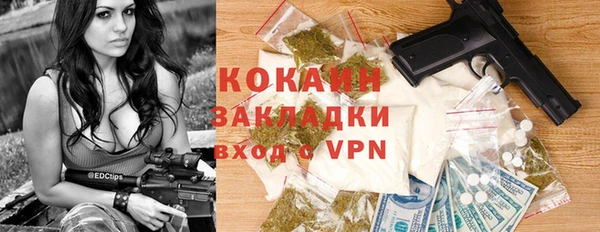 индика Осташков