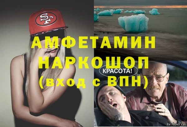индика Осташков
