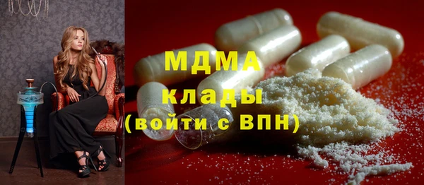 индика Осташков