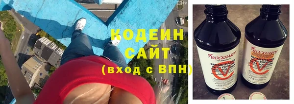 индика Осташков