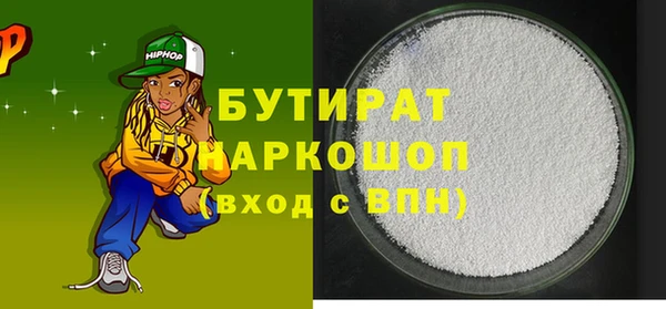 индика Осташков