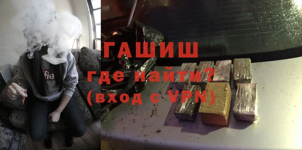 индика Осташков