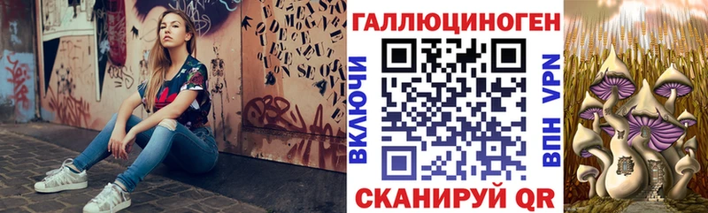 купить закладку  Кадников  Галлюциногенные грибы мицелий 