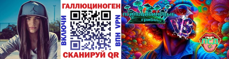Псилоцибиновые грибы Psilocybe Кадников